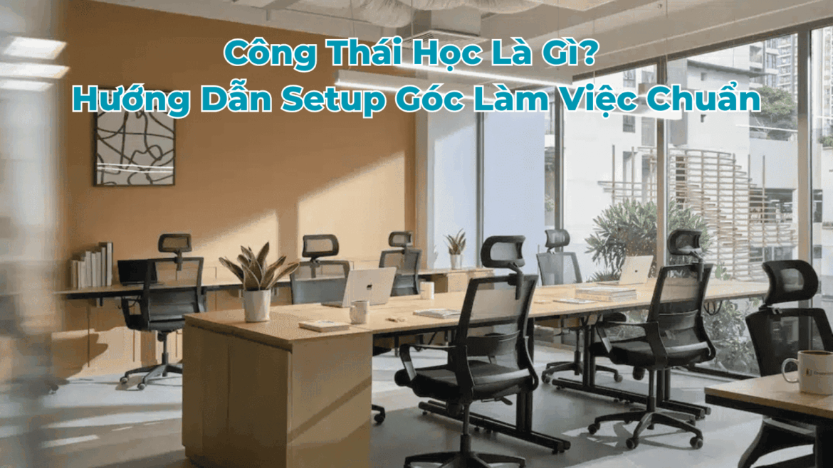 công thái học là gì