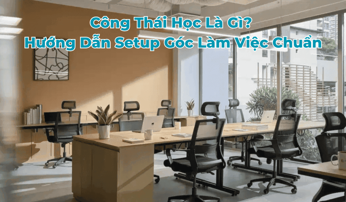 công thái học là gì