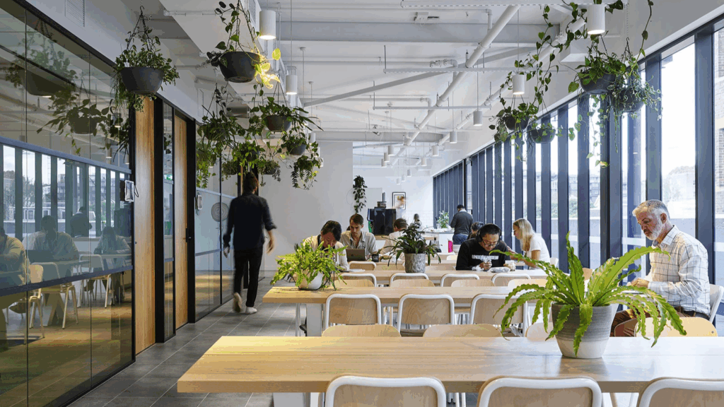 co-working space